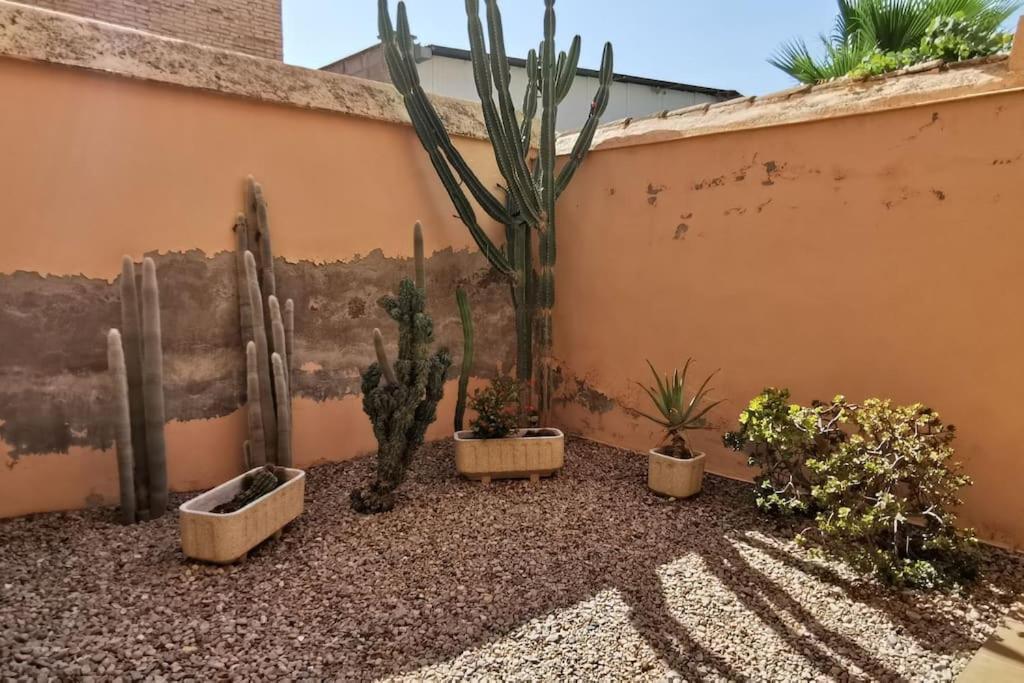 Casa Bretalunya Villa Benissanet Eksteriør bilde